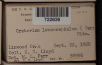 Image Associated With the Occurence